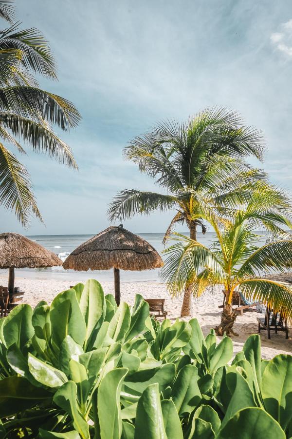 Paamul Hotel Palmul Ngoại thất bức ảnh